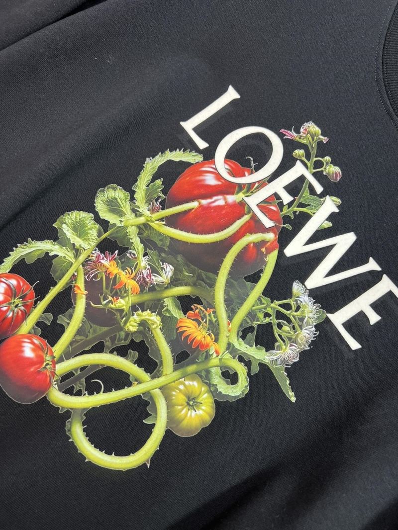 Loewe Hoodies